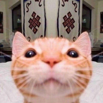 Adam..