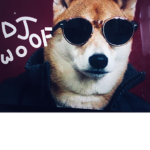 DJ woof fan group