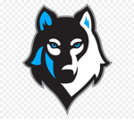 Flying Wolfy Studios