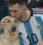 Grupo gato chad