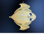 Nope io boi