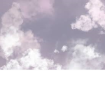 cookie_playz official sever