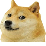 Doge!!!!!!!!!!!