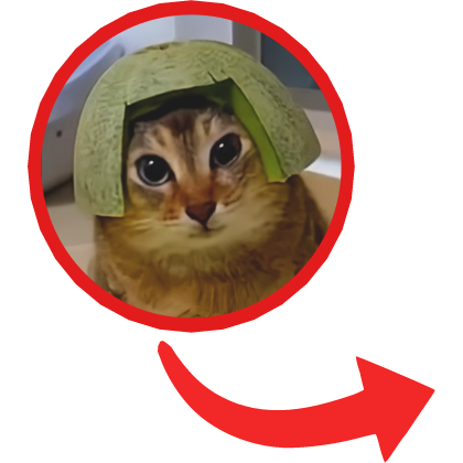 Mei Mei Tole Tole Cat Red Circle 