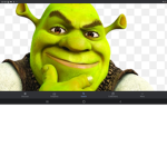 bbg shreks in my ##### swamp