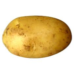 potato club by jude