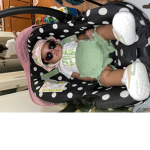 Tink an josh