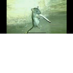 We Are The Rats Club.