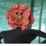 Flowah Fanclub