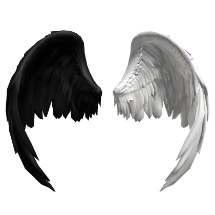 Black And White Wings