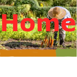 Home {NEW UPDATE READ DESC}