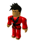 bmi karate