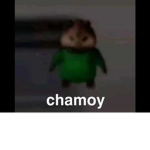 Chamoy fans