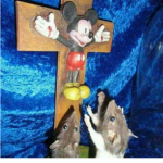 Blessed holy children