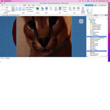 raise a floppa  3 (leer/read descripcion)