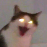 robux equal pet