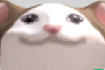 SadCatGangTR