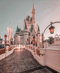 ~Disney Dreamers~