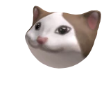 Pop Cat Roblox NoFilter