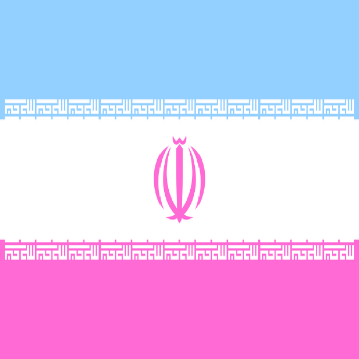 Vaporwave Iran Roblox decal