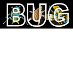 Insect Invaders World