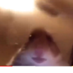 Fabian hi guys