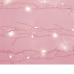 The Pinksquad