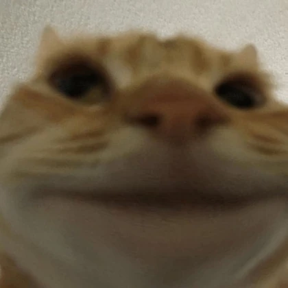 fart fart fart fart fart inaudible noise bruhh