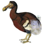 dodo revived