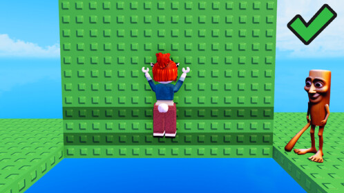 EASY Wall Hop Obby