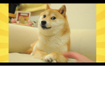 #da doge group,