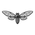Cicada GANG yes