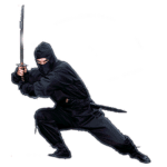 the Robloxian Ninja Assasins