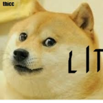 The Doge Group XD