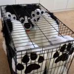 The No-Furry Army