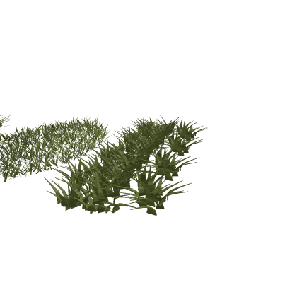 grass