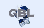 [GBL] German Blue Lock Liga