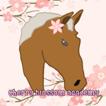 *+ Cherry Blossom Academy +*