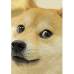 Doge such wow hangout
