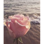 Emmal0ve11