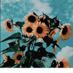All ways smile