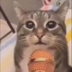 mawewwio