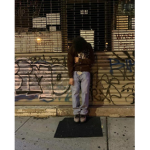 The streetss