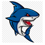 ASharkStudio