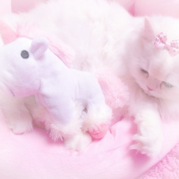 ε(´｡╹꒳╹`)っ🧁