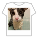 Soggy Cat