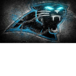 Panther.s