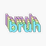 The Bruh team!