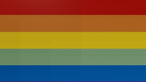Every LGBTQ+ Flag