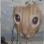 Puppet Spot!